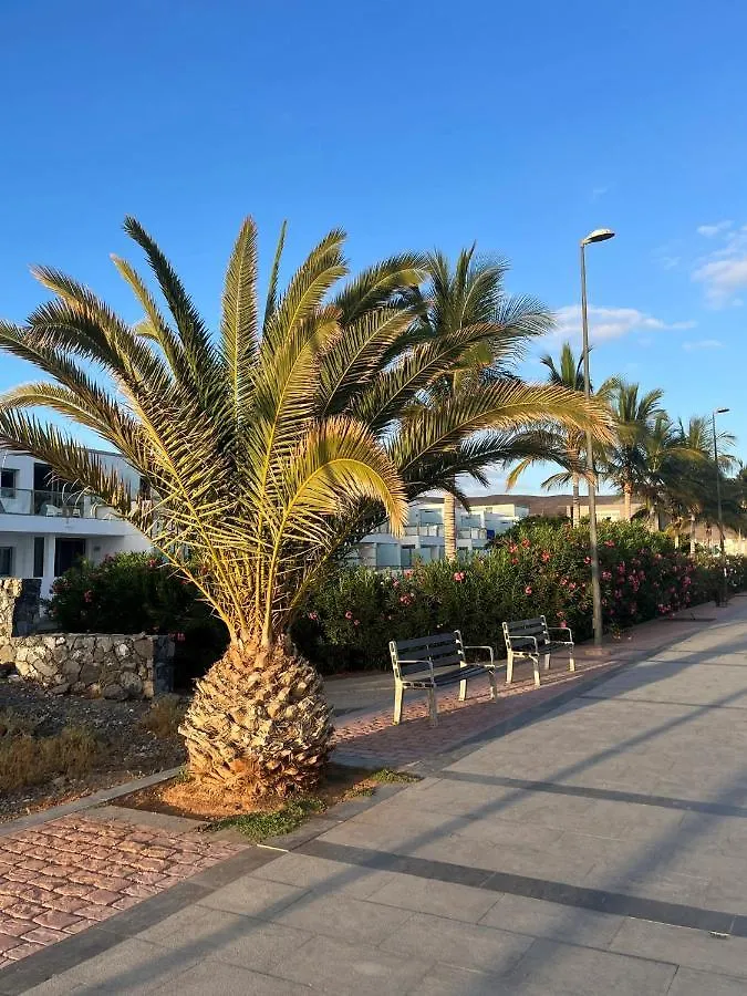 Apartamento Cactus Del Mar Tarajalejo España
